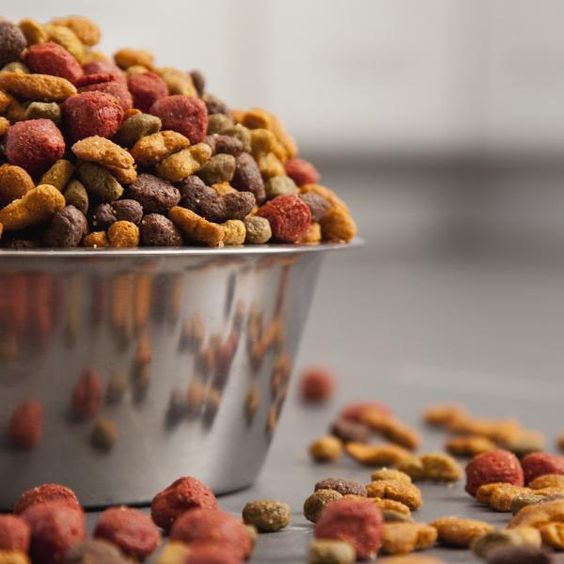 ALIMENTO PARA PERRO