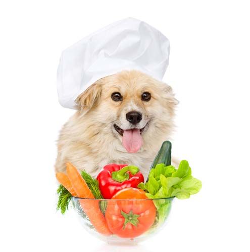 BUENA ALIMENTACION una buena alimentación