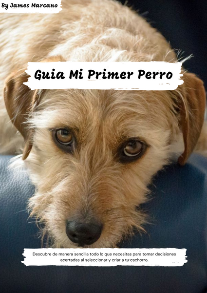 guia mi primer perro